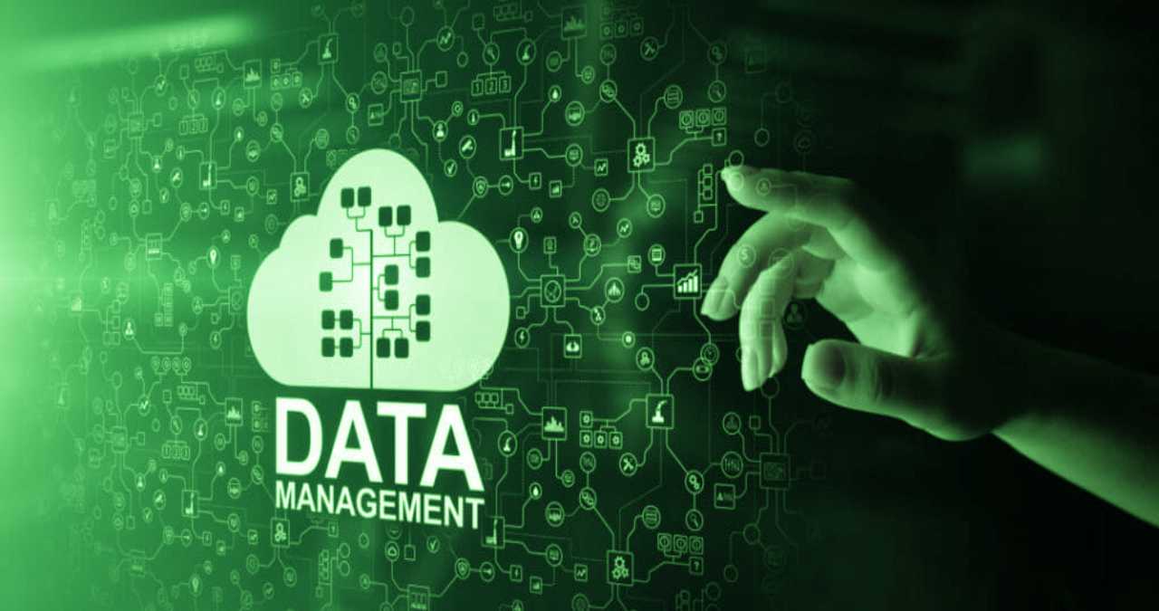 Business Data Management