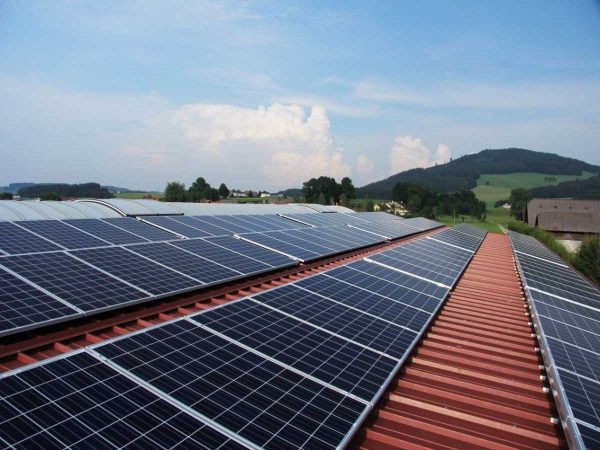 What Are the Different Types of Solar Panels That Exist Today?