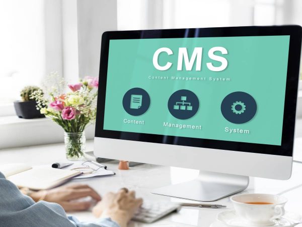 Which Content Management System Suits My Company?