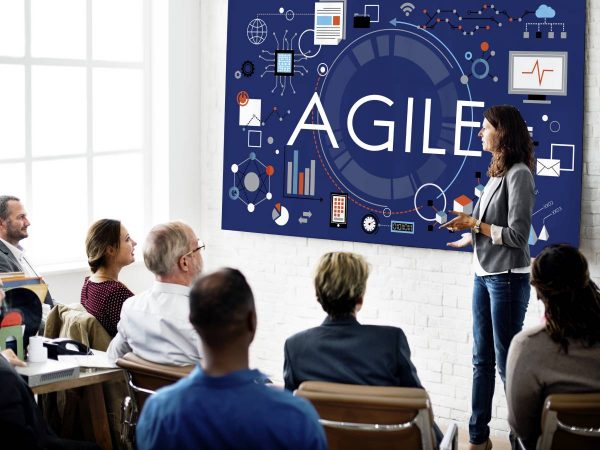 Agility In Large Companies