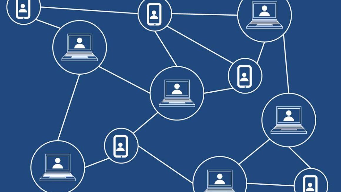 Blockchain Networks