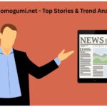 Kodomogumi.net - Top Stories & Trend Analysis
