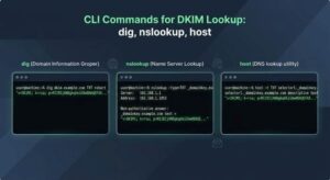 Confirm the exact domain to check
